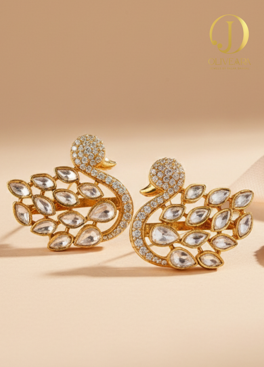 Elegant Silver Earrings